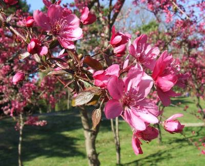 Прикрепленное изображение: sc3.jpg